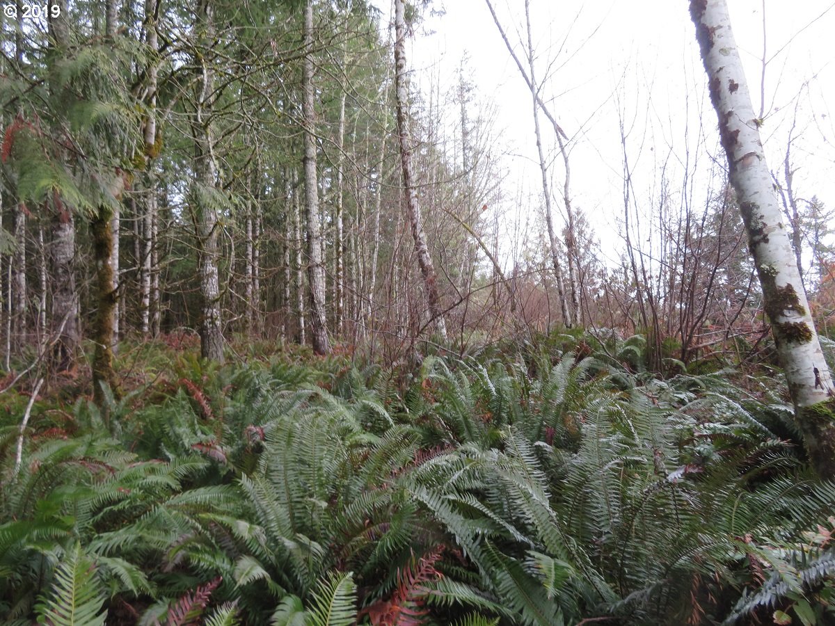 505 State Route Toledo, WA 98591 - Photo 19 of 32