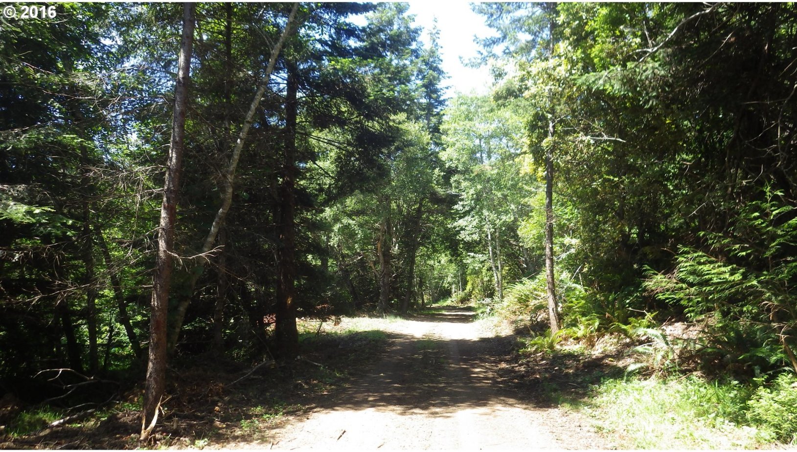 Grizzly Mountain Road, Unit 3B Gold Beach, OR 97444 - Photo 20 of 24 Gallery Image 20