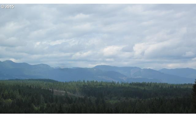 Northeast Dewatto Hills Road Tahuya, WA 98588 - Photo 1 of 16 Gallery Image 1
