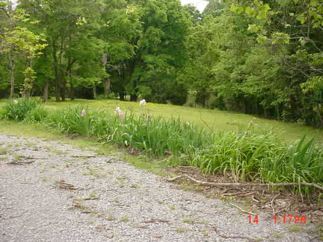 1527 St Paul Road Millington, TN 38053 - Photo 7 of 9 Gallery Image 7