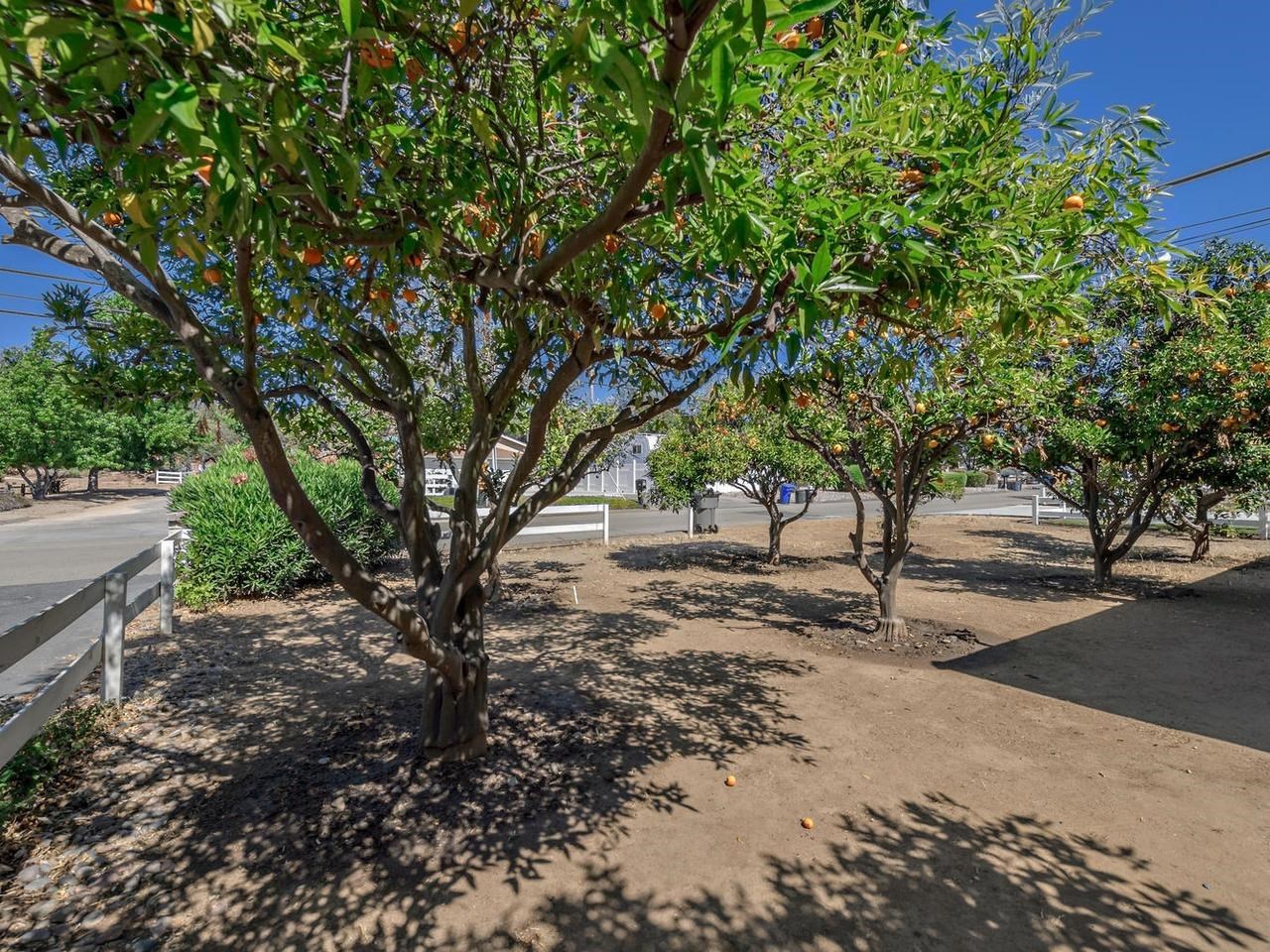 960 Morro Road Fallbrook, CA 92028 - Photo 18 of 24