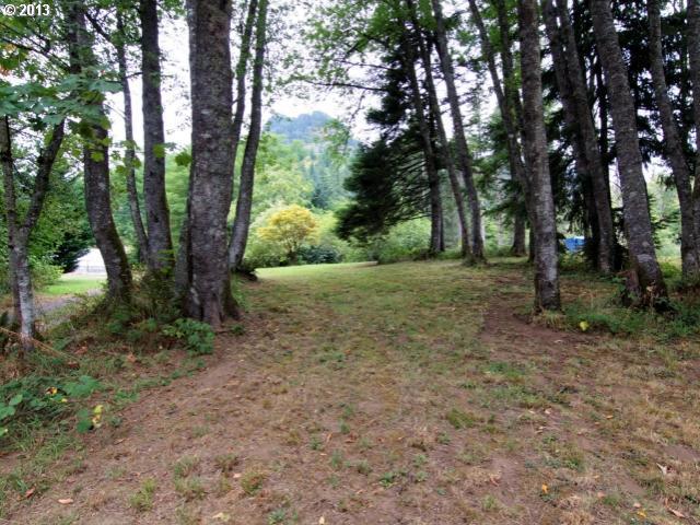0 Prindle Road Washougal, WA 98671 - Photo 9 of 11 Gallery Image 9