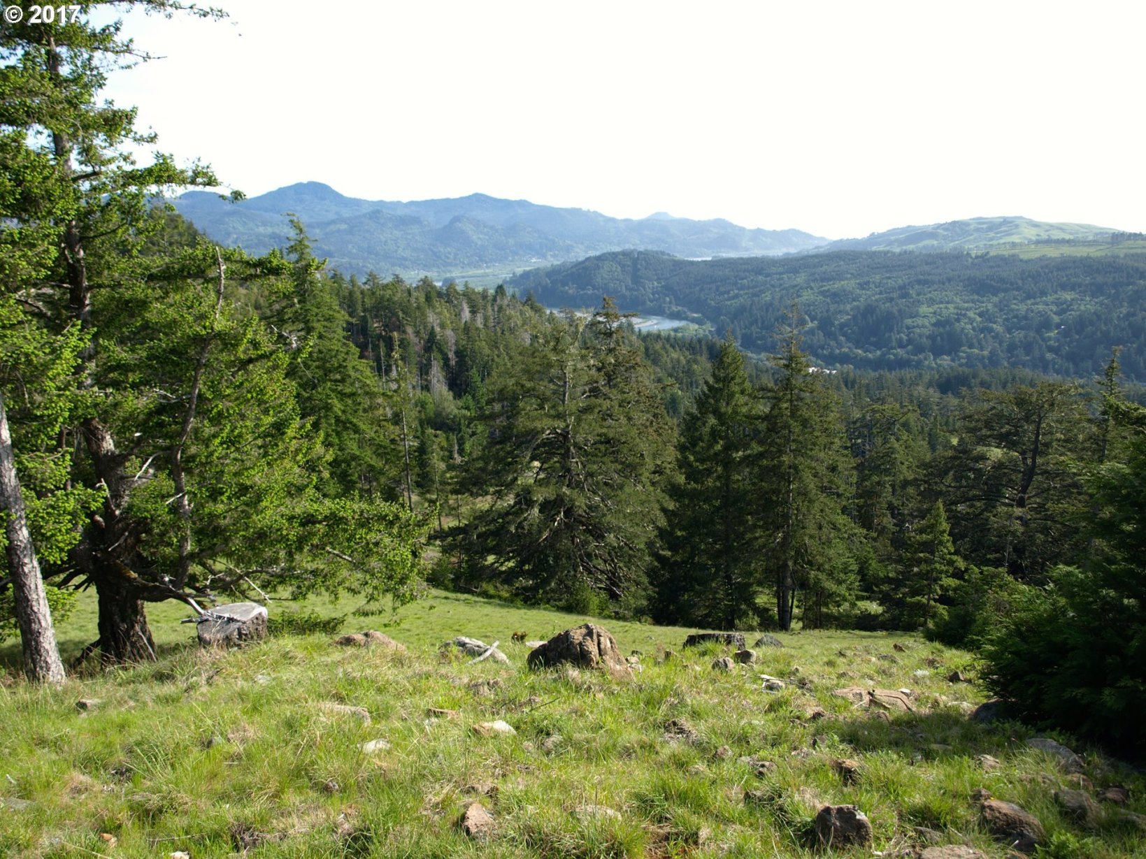 Osprey Ridge Road Gold Beach, OR 97444 - Photo 5 of 16