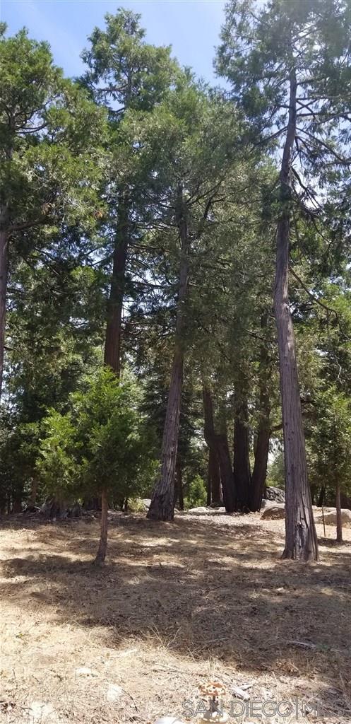 22668 Conifer Lane Palomar Mountain, CA 92060 - Photo 13 of 21