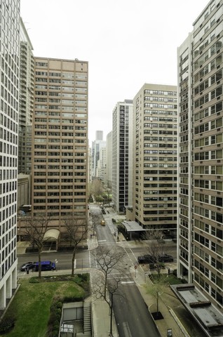 253 E Delaware Pl, Chicago, IL 60611 - Photo 2 of 8