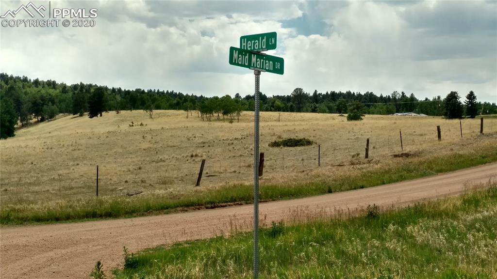 34 Herald Lane Divide, CO 80814 - Photo 6 of 16