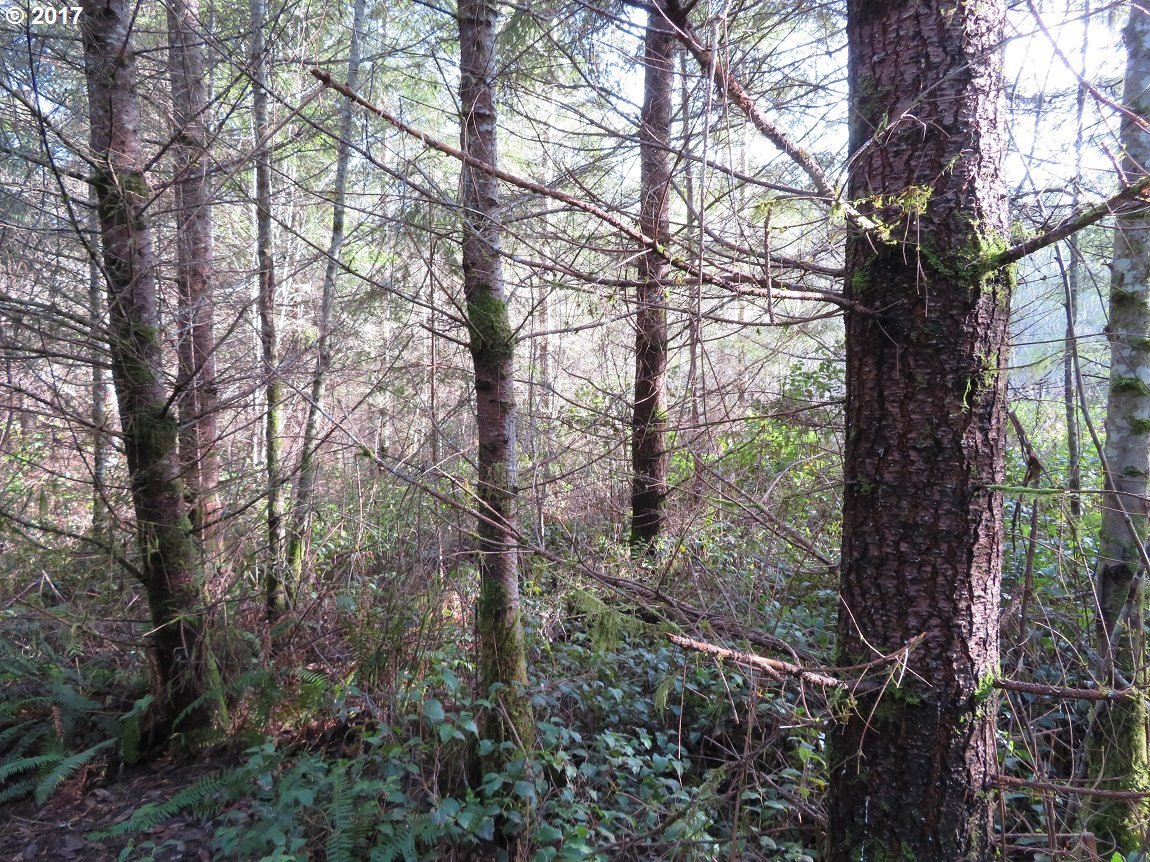 Cousins Road, Unit 1 Chehalis, WA 98532 - Photo 19 of 32