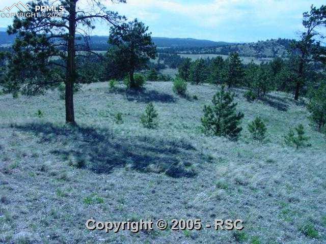897 Old Ranch Road Florissant, CO 80816 - Photo 8 of 13 Gallery Image 8