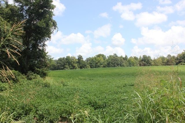 6333 Asbury Glimp Road Ripley, TN 38063 - Photo 1 of 6