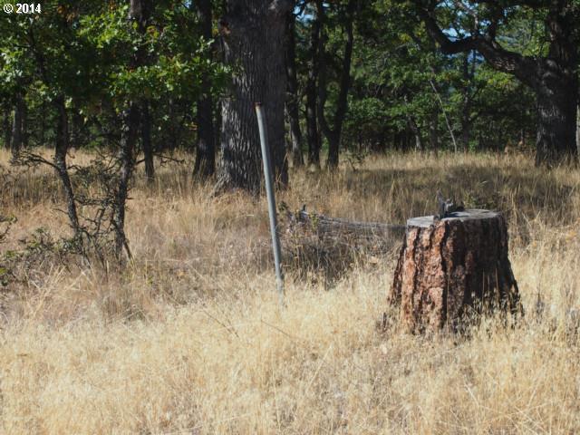 South View Court Dufur, OR 97021 - Photo 8 of 8 Gallery Image 8