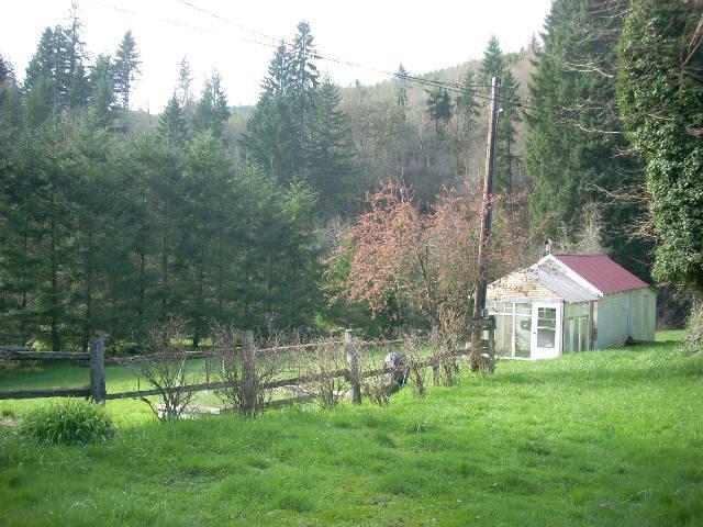 258 Wieri Road Woodland, WA 98674 - Photo 4 of 16 Gallery Image 4