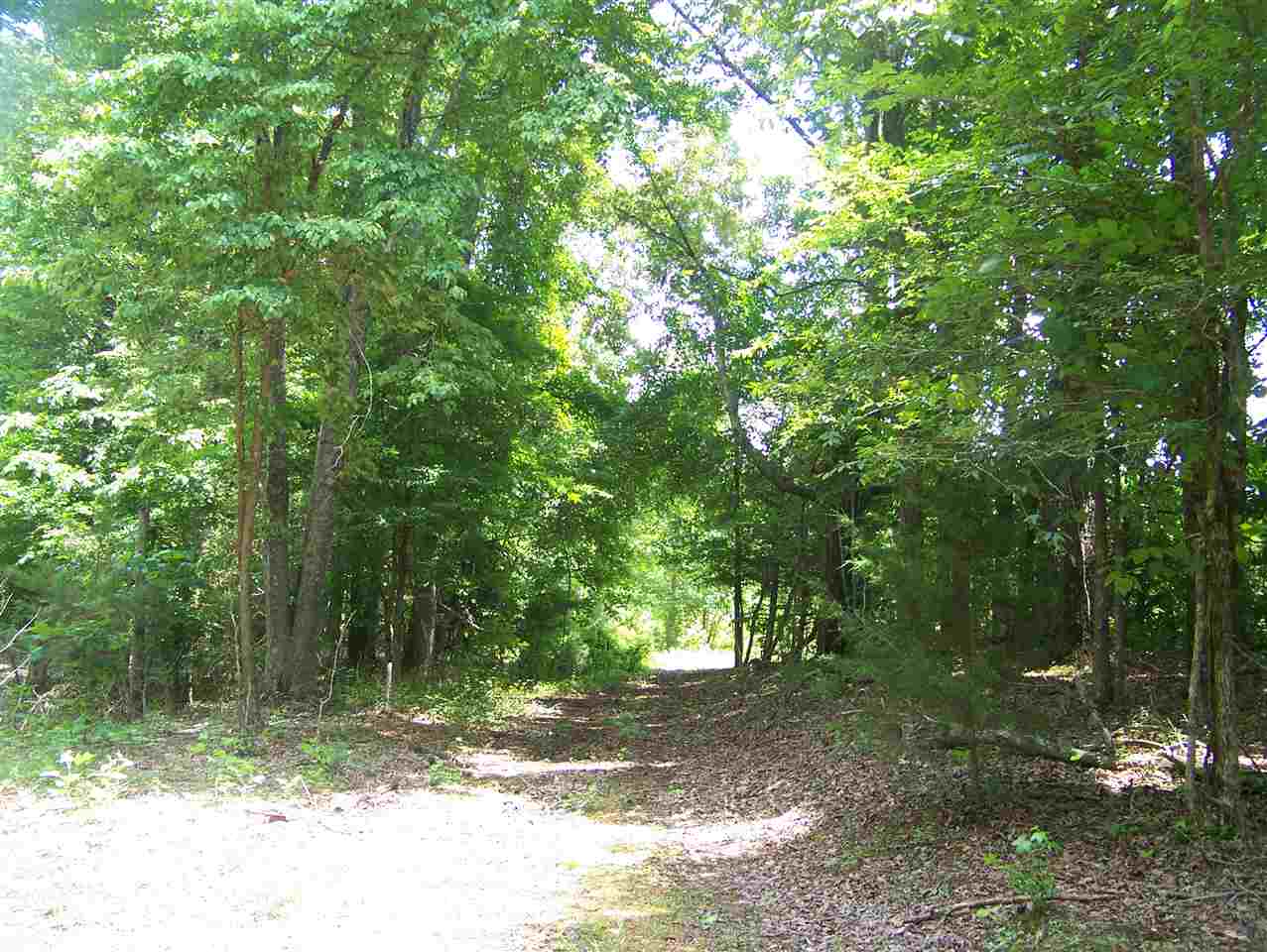 521 Combs Cemetery Road Adamsville, TN 38310 - Photo 13 of 24 Gallery Image 13