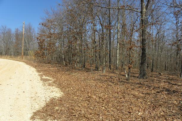 0 Lost Arrowhead Road Hohenwald, TN 38462 - Photo 10 of 12 Gallery Image 10
