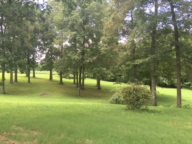 10232 McQuiston Road Brighton, TN 38011 - Photo 2 of 17 Looking toward McQistion Rd.