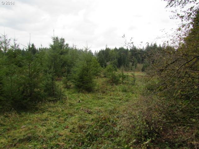 Skye Road Washougal, WA 98671 - Photo 3 of 11