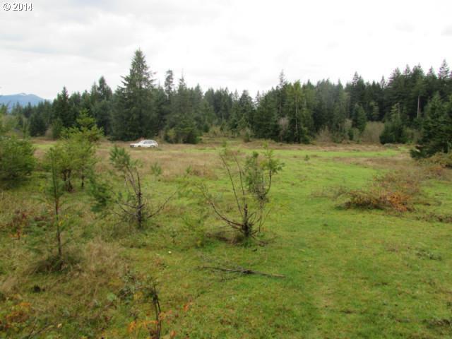 Skye Road Washougal, WA 98671 - Photo 6 of 11