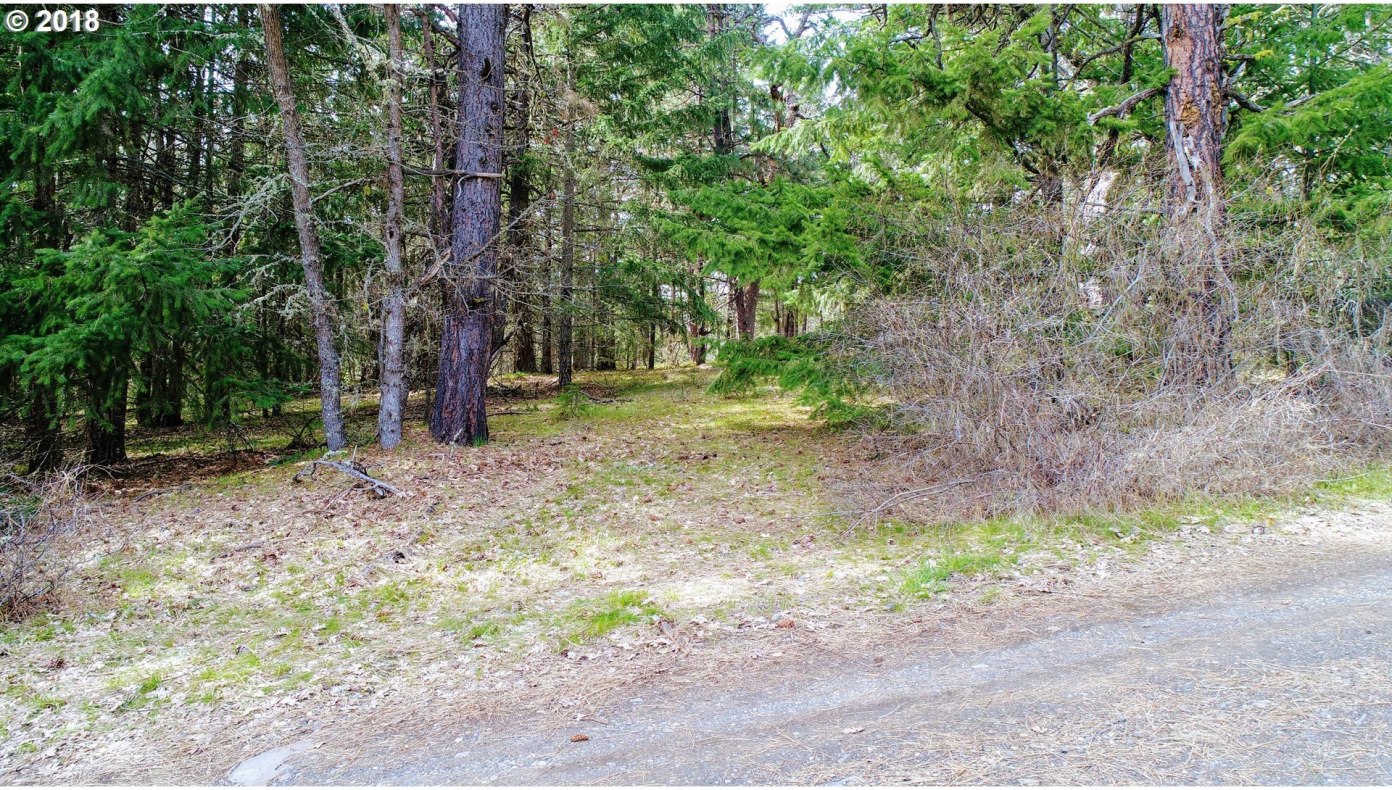 Aki Road Lyle, WA 98635 - Photo 17 of 17 Gallery Image 17