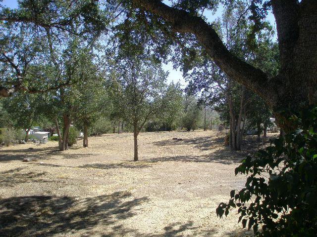 325 Evans Road Wofford Heights, CA 93285 - Photo 14 of 14 Lot