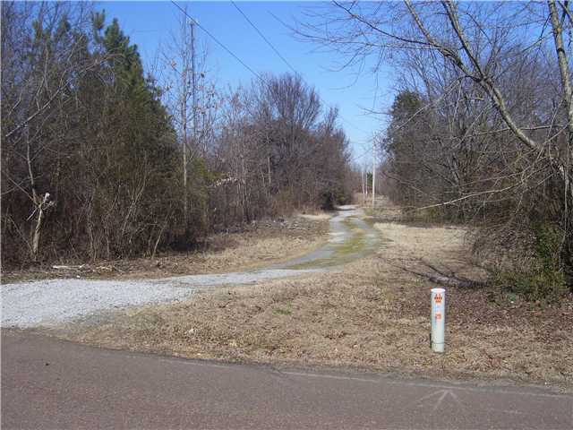 3670 Harrell Road Arlington, TN 38002 - Photo 4 of 12 Entrance road in with majority of acreage to right.