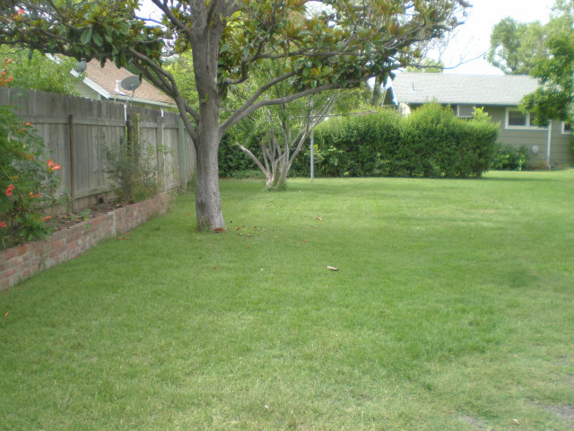 1420 Yolo Street Corning, CA 96021 - Photo 7 of 8 Gallery Image 7