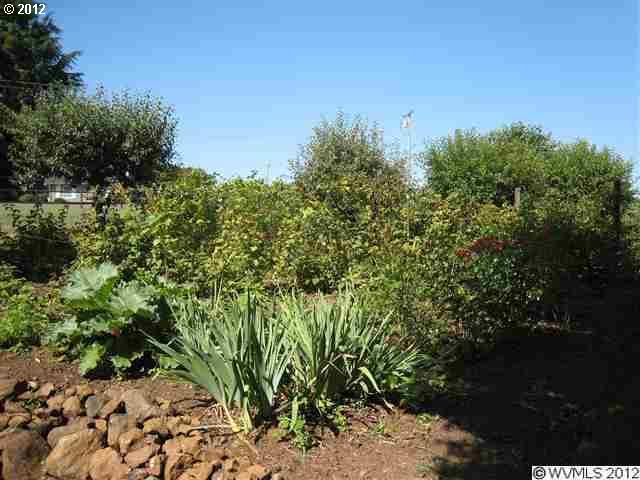 13842 Doerfler Road Southeast Silverton, OR 97381 - Photo 8 of 16
