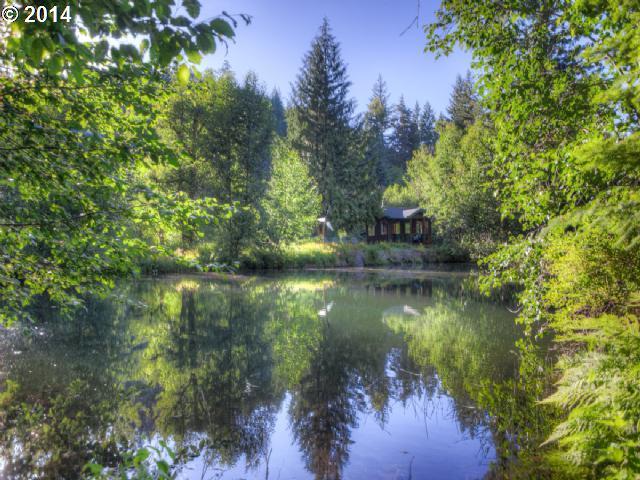 175 Mt Adams Road Trout Lake, WA 98650 - Photo 7 of 16 Gallery Image 7