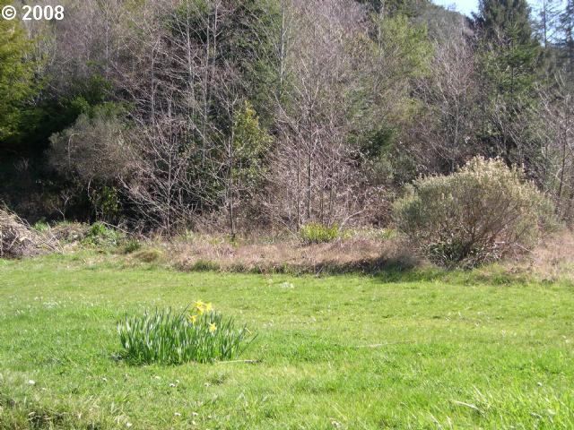 28097 Hunter Creek Road Gold Beach, OR 97444 - Photo 1 of 6