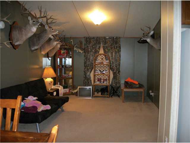 2925 Dry Hill Road West Ripley, TN 38063 - Photo 8 of 18