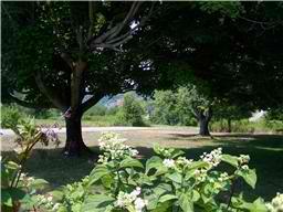 770 Nichols Road Lafayette, TN 37083 - Photo 2 of 10 Gorgeous pastoral views!