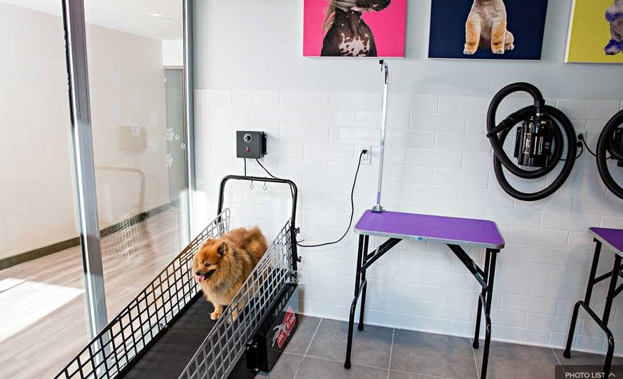 100 Willoughby Street, Unit 4H Brooklyn, NY 11201 - Photo 21 of 40