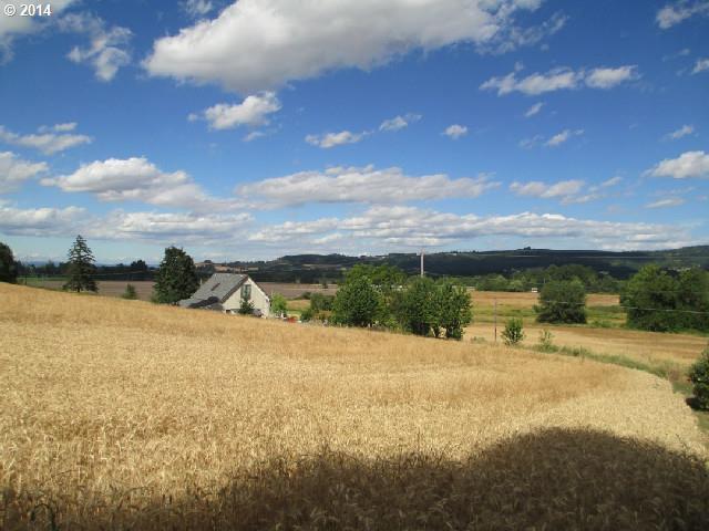 46095 Southwest Patton Valley Road Gaston, OR 97119 - Photo 8 of 11