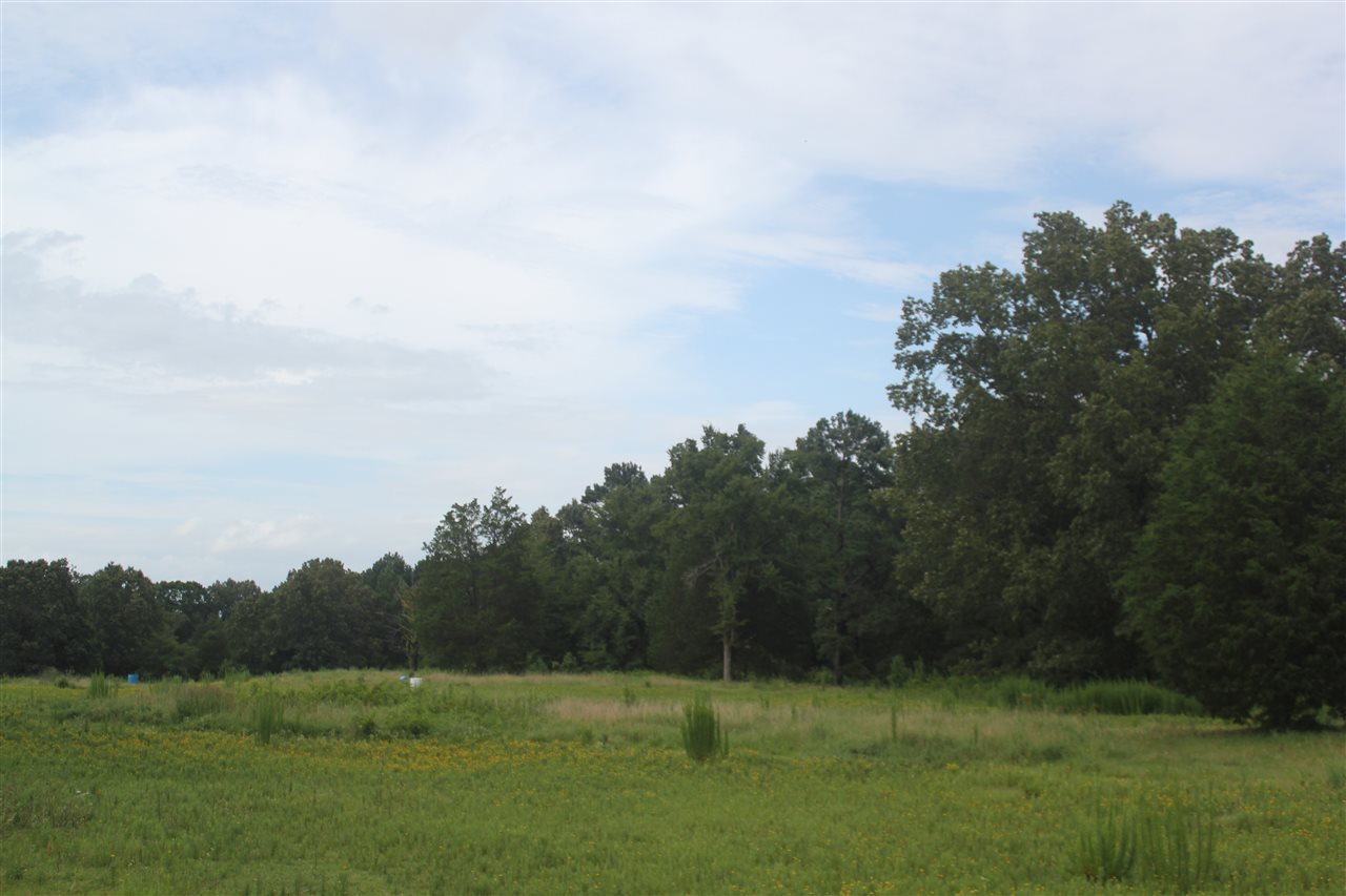 1000 Strickland Road Byhalia, MS 38611 - Photo 20 of 25 Gallery Image 20