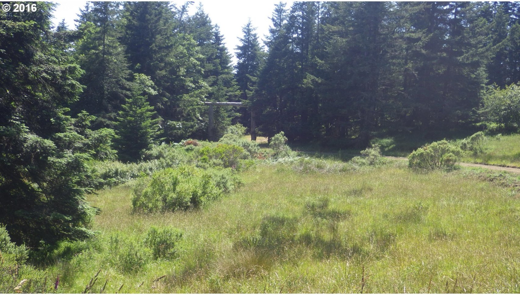 Grizzly Mountain Road, Unit 3B Gold Beach, OR 97444 - Photo 22 of 24 Gallery Image 22
