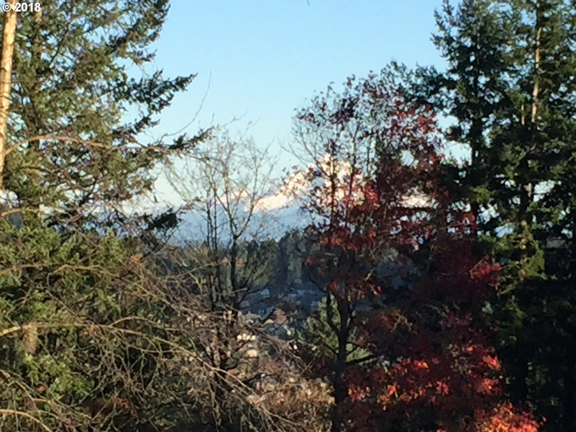 10958 Southeast Valley View Terrace Happy Valley, OR 97086 - Photo 29 of 32