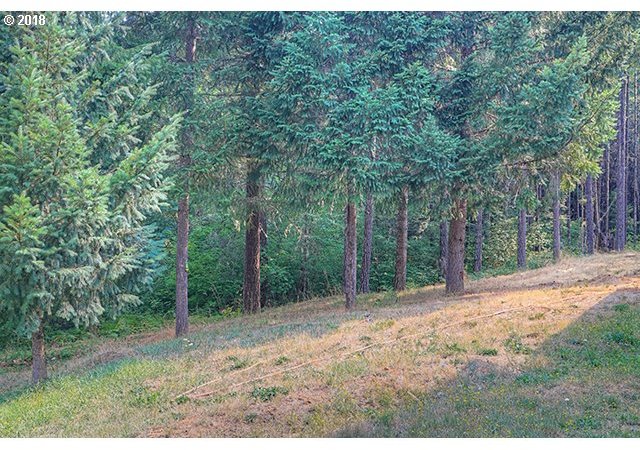 1098 Hogum Creek Road Azalea, OR 97410 - Photo 16 of 32 Gallery Image 16