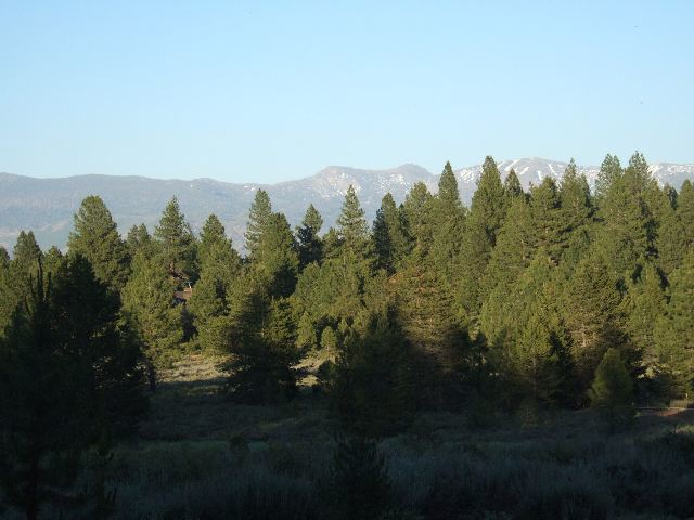 12261 Prosser Dam Road Truckee, CA 96161 - Photo 2 of 7