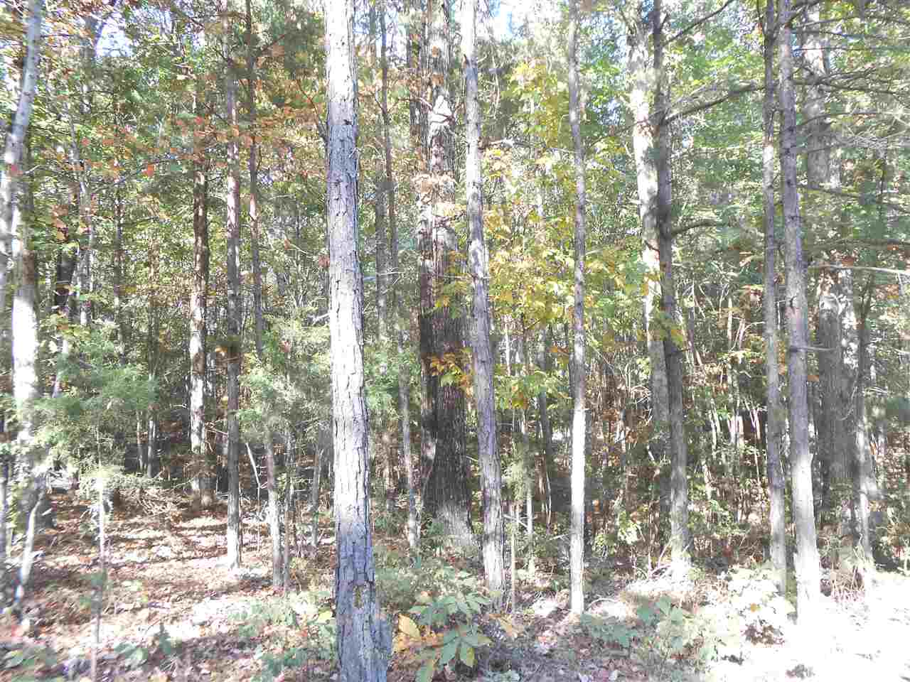 2357 Feddie Davis Road Ramer, TN 38367 - Photo 24 of 25
