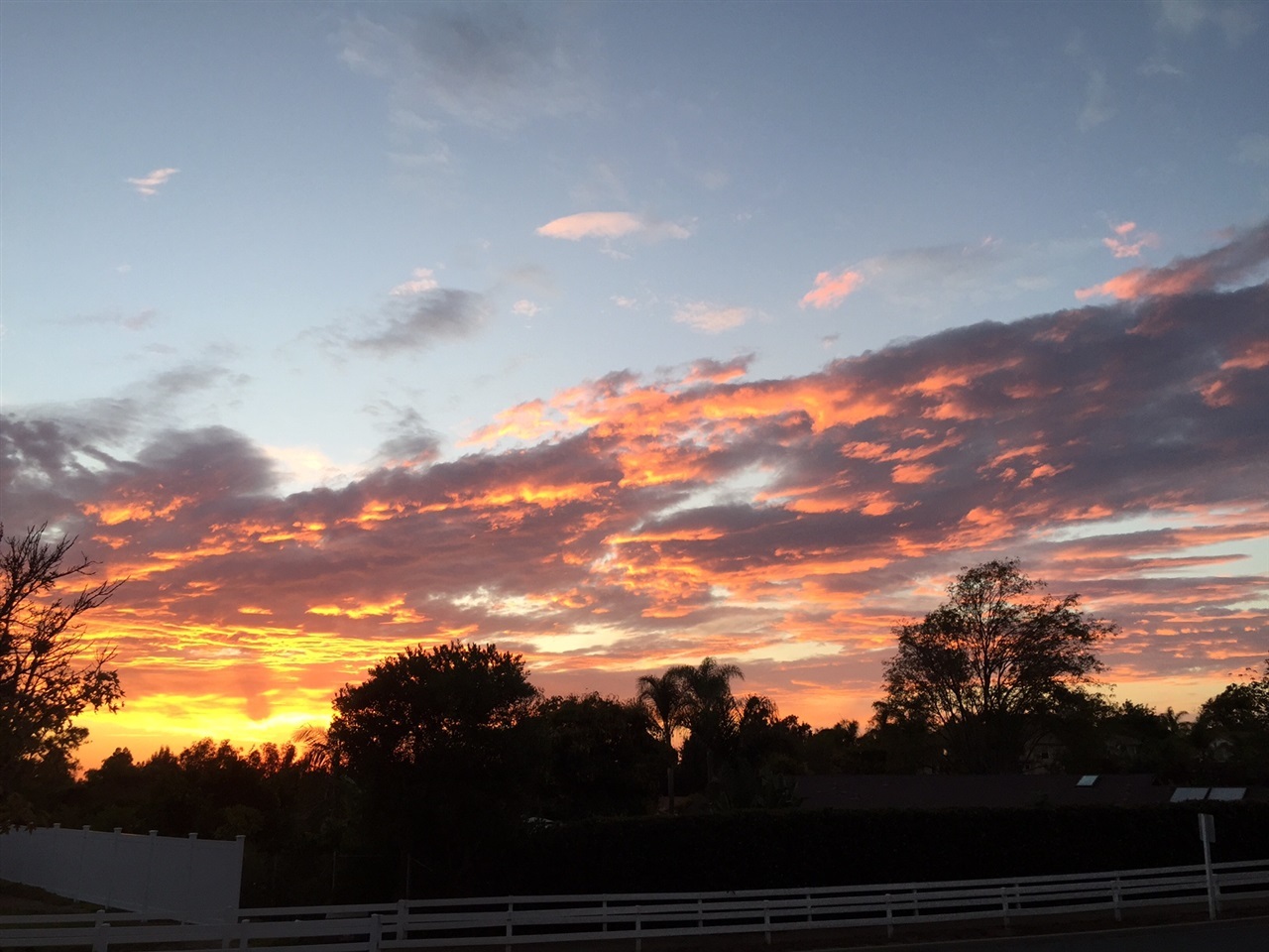 1610 Hackamore Road Oceanside, CA 92057 - Photo 24 of 24 Gallery Image 24