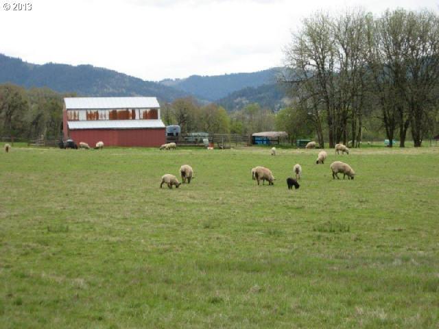 640 Rolling Ridge Road Oakland, OR 97462 - Photo 6 of 13 Gallery Image 6