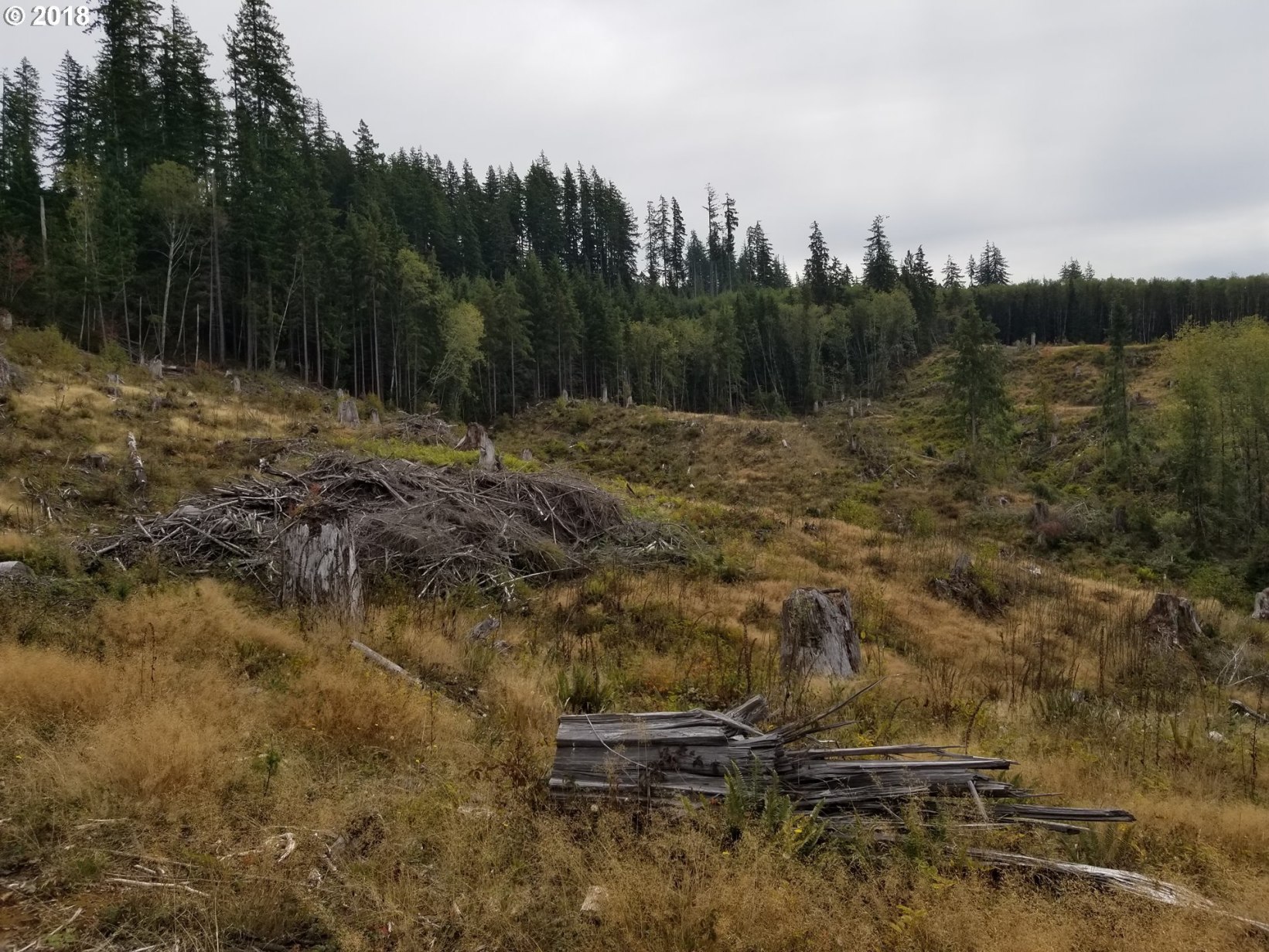 Elochoman Valley Cathlamet, WA 98612 - Photo 20 of 26