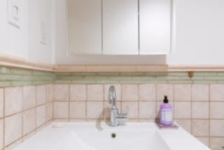 604 5th Street, Unit 1 Brooklyn, NY 11215 - Photo 10 of 13