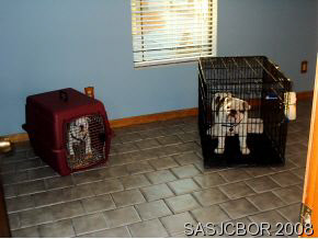 917 Queen Road St. Augustine, FL 32086 - Photo 5 of 12