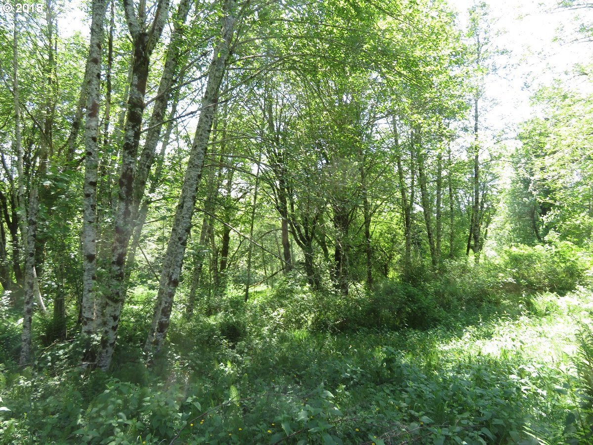 Bellicum Road Morton, WA 98356 - Photo 24 of 30 Gallery Image 24
