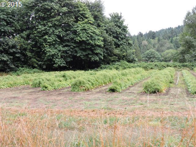 110 Briarwood Road Umpqua, OR 97486 - Photo 5 of 10 Gallery Image 5