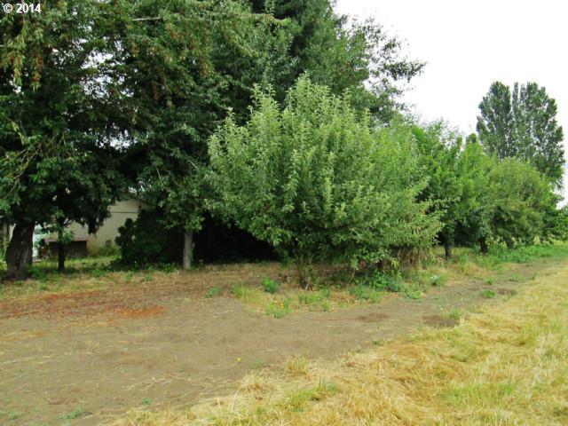 17146 Edwin Road Northeast Woodburn, OR 97071 - Photo 9 of 14 Gallery Image 9