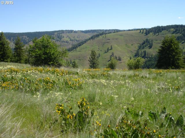 74433 Thompson Road Elgin, OR 97827 - Photo 15 of 16 Gallery Image 15