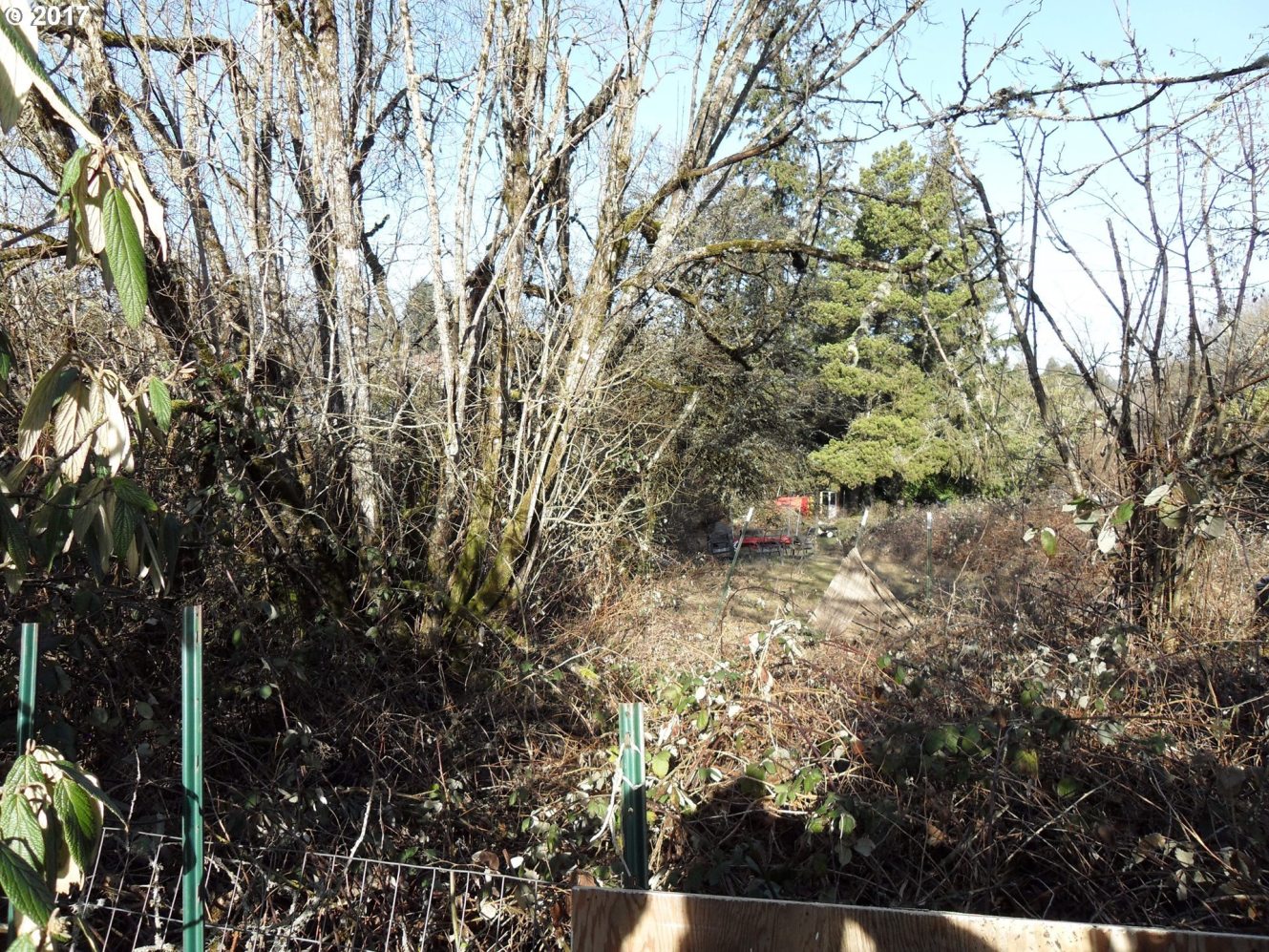 12436 Southwest Boones Ferry Road Portland, OR 97035 - Photo 12 of 14 Gallery Image 12