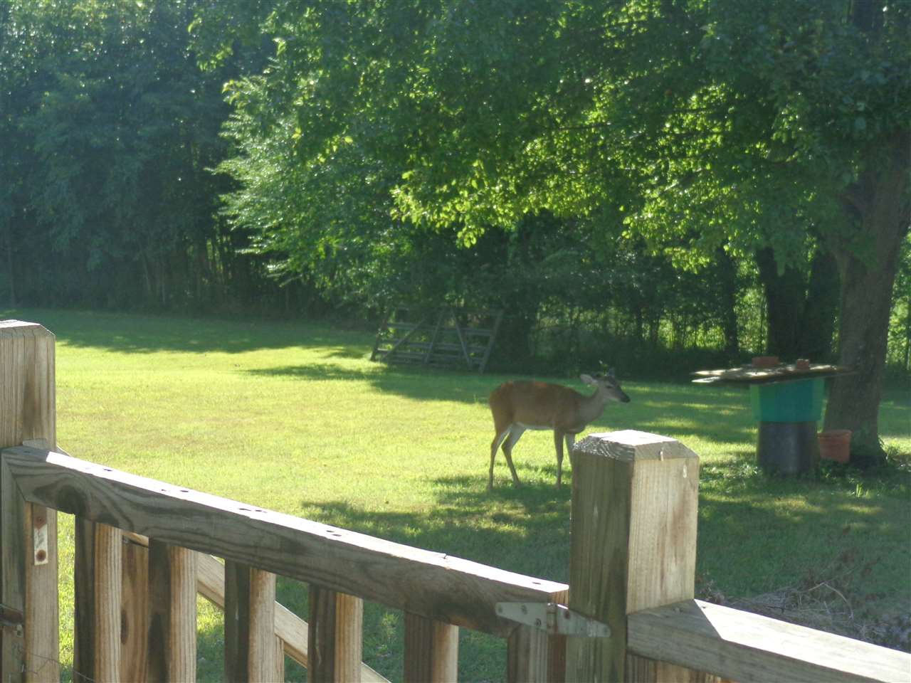 395 Hinkle Road South Sardis, TN 38371 - Photo 5 of 25