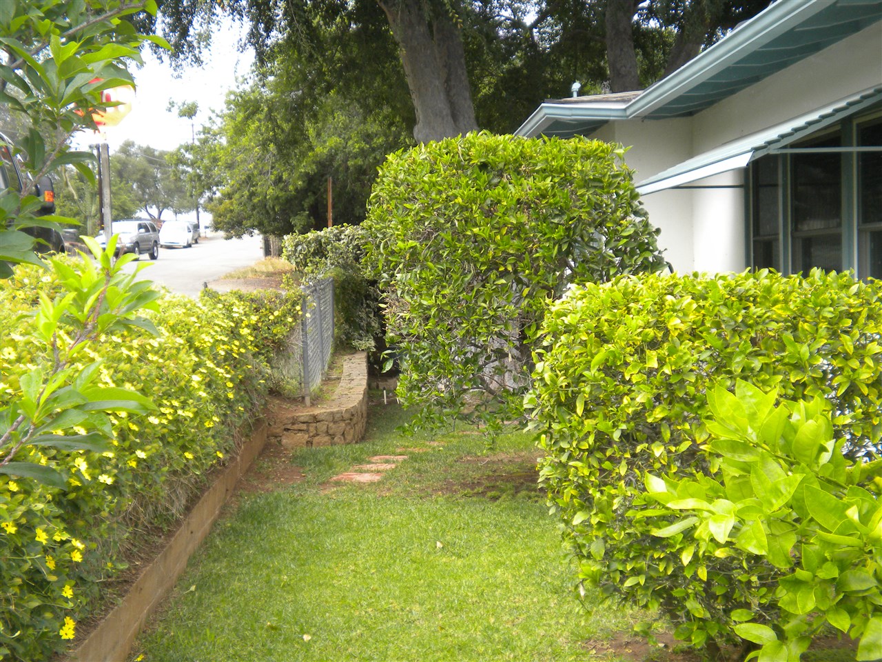 534 West Elder Street Fallbrook, CA 92028 - Photo 2 of 11