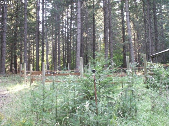 Frontier Road, Unit 5 Appleton, WA 98602 - Photo 4 of 8 Gallery Image 4